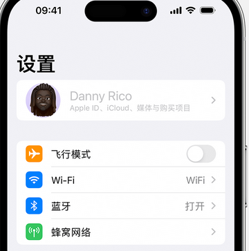 丰城appleID维修服务iPhone设置中Apple ID显示为灰色无法使用 