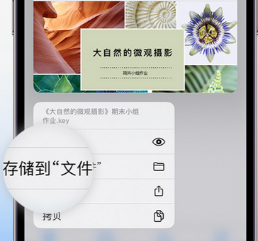 丰城apple维修中心分享iPhone文件应用中存储和找到下载文件