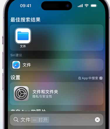 丰城apple维修中心分享iPhone文件应用中存储和找到下载文件 