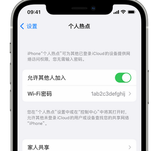 丰城apple服务站点分享iPhone上个人热点丢失了怎么办 