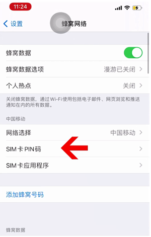 丰城苹果14维修网分享如何给iPhone14的SIM卡设置密码 