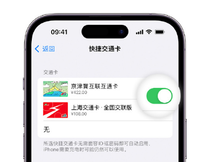 丰城apple维修点分享iPhone上更换Apple Pay快捷交通卡手绘卡面 