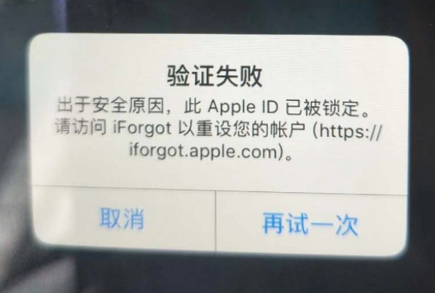 丰城iPhone维修分享iPhone上正常登录或使用AppleID怎么办 