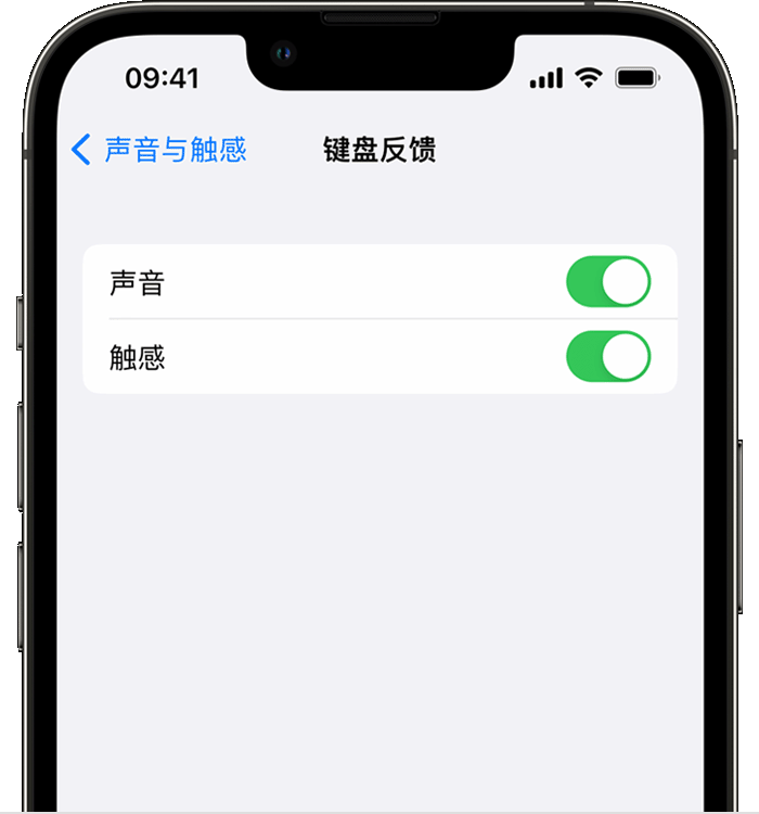 丰城苹果14维修店分享如何在 iPhone 14 机型中使用触感键盘 