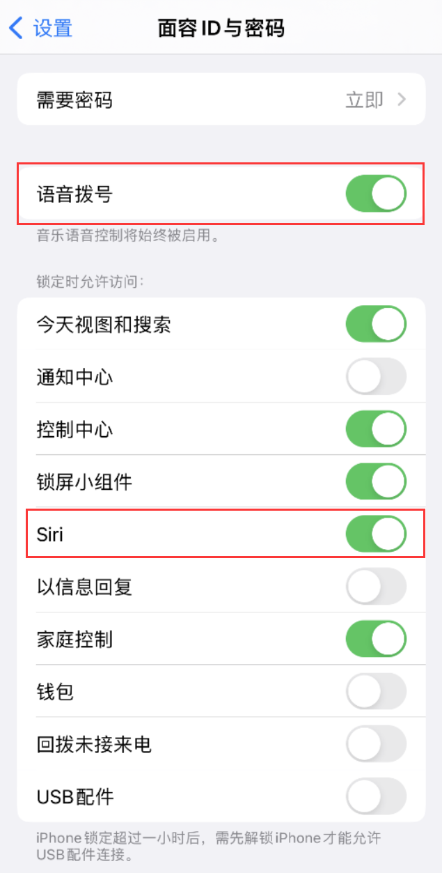 丰城苹果维修网点分享不解锁 iPhone 的情况下通过 Siri 拨打电话的方法 