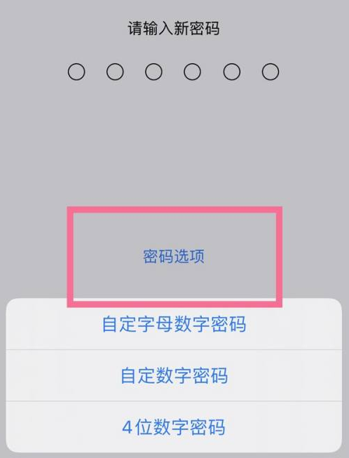 丰城苹果14维修分享iPhone 14plus设置密码的方法 