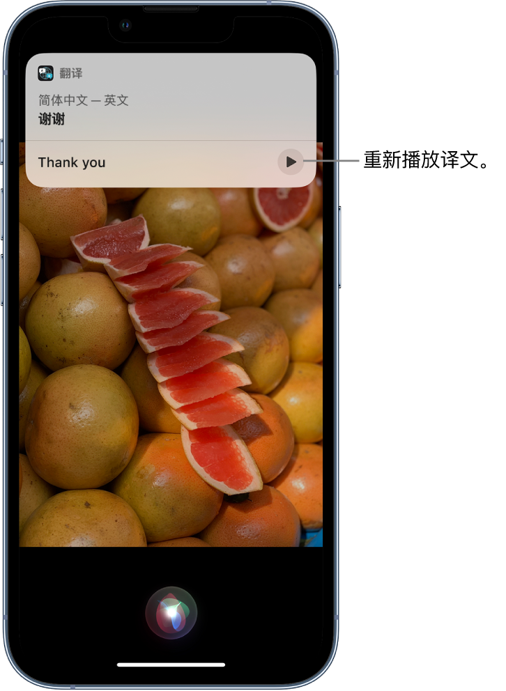 丰城苹果14维修分享 iPhone 14 机型中使用 Siri：了解 Siri 能帮你做什么 