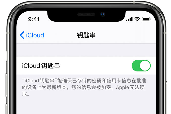 丰城苹果手机维修分享在 iPhone 上开启 iCloud 钥匙串之后会储存哪些信息 